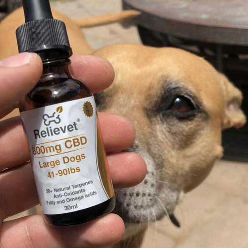 CBD Oils For Dog