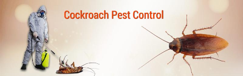 pest control cockroaches